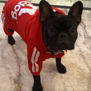 Meet your Posher, Sloan